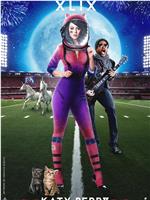 Super Bowl XLIX Halftime Show Starring Katy Perry在线观看