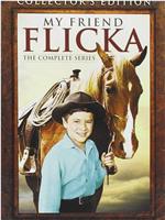 My Friend Flicka