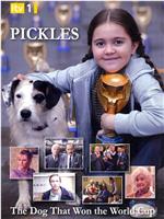 Pickles: The Dog Who Won the World Cup在线观看