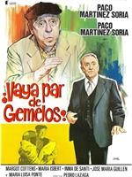 ¡Vaya par de gemelos!在线观看