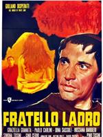 Fratello ladro在线观看