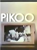 Pikoor Diary