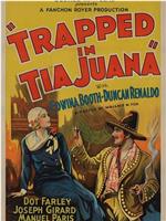 Trapped in Tia Juana