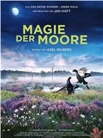 Magie der Moore在线观看