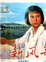 新风歌
