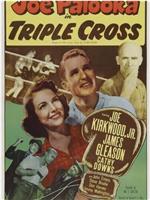 Joe Palooka in Triple Cross在线观看