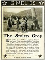 The Stolen Grey在线观看