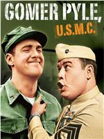 Gomer Pyle, U.S.M.C.在线观看