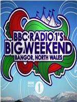 Radio 1's Big Weekend在线观看