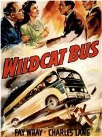 Wildcat Bus