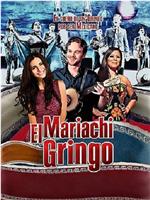 Mariachi Gringo