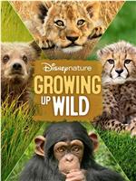 Growing Up Wild