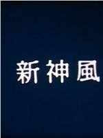 新･神風在线观看