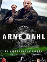 Arne Dahl: En midsommarnattsdröm