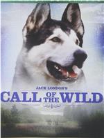 Call of the Wild在线观看