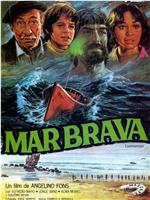 Mar brava