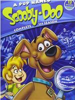 A Pup Named Scooby-Doo