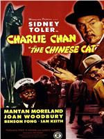 华人侦探陈查理之中国猫在线观看