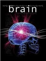 The Brain