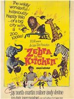 Zebra in the Kitchen在线观看