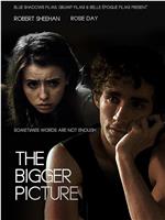 The Bigger Picture在线观看