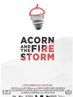 Acorn and the Firestorm