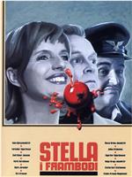 Stella for Office