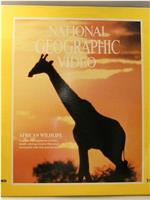 国家地理百年纪念典藏33:非洲野生动物在线观看