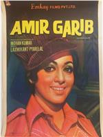 Amir Garib