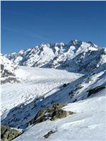 阿尔卑斯山环境危机在线观看