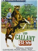 Gallant Bess