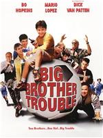 Big Brother Trouble在线观看