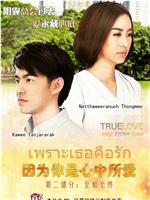 true love story在线观看