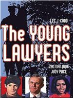 The Young Lawyers在线观看