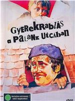 Gyerekrablás a Palánk utcában在线观看