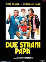 Due strani papà