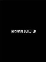 No Signal Detected