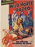 Wild Horse Rodeo