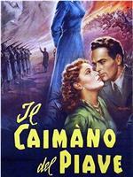 Il caimano del Piave在线观看