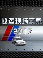 巡逻现场实录2017在线观看