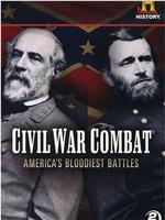 内战中的战斗：美国的血腥战役在线观看
