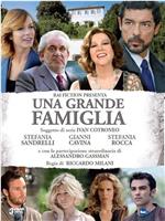 una grande famiglia Season 1在线观看