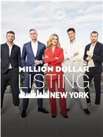 百万美元豪宅：纽约 第二季