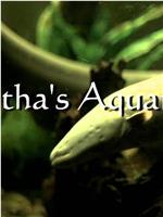 Tabitha's Aquarium