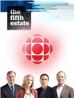 The Fifth Estate