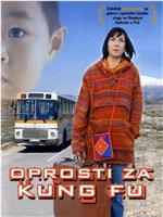 Oprosti za kung fu