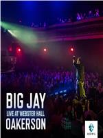 Big Jay Oakerson: Live at Webster Hall在线观看