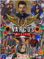 毒枭：墨西哥 第二季在线观看