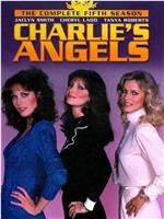 查理的天使 第五季在线观看