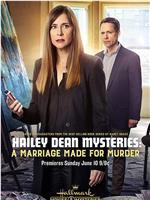 Hailey Dean Mystery: A Marriage Made for Murder在线观看
